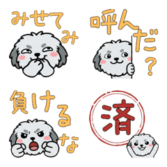 Old English Sheepdog  22nd