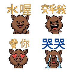 Taiwanese Wild Boar  32nd