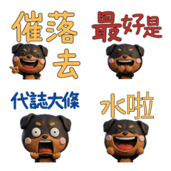 Moving Taiwanese Rottweiler  40