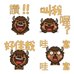 Taiwanese American Bison  32nd