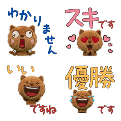 Moving Polite Chow Chow  12th