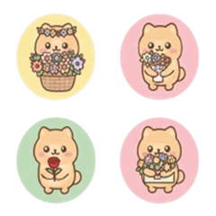 まるちょ風ポメラニアン花屋さん