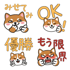 Corgi Cardigan  21st