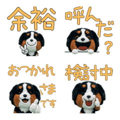 Plush Bernese Mountain  9th