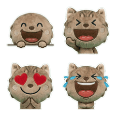 Plush Singapura  7th