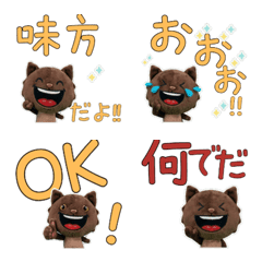 Moving Plush Burmese Cat  10