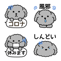 黒プードルの体調不良