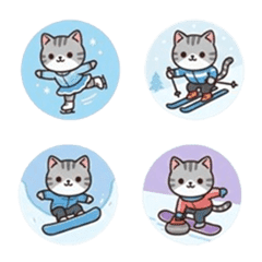 まるちょ風アメショートヘア  冬スポーツ