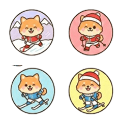 まるちょ風柴犬冬スポーツ