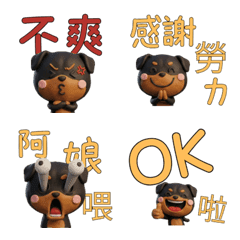 Taiwanese Rottweiler  39