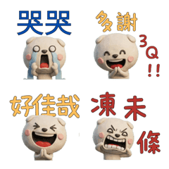 Taiwanese Scottish Fold  39