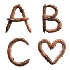 지렁이 알파벳 문자