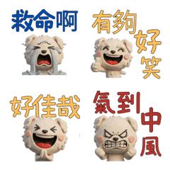 Taiwanese Maltese  39