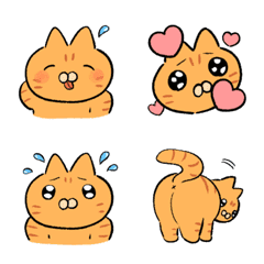 orange tabby cat poko