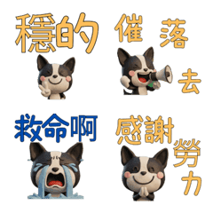 Taiwanese Boston Terrier  39