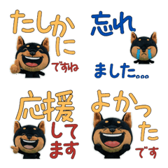 Polite Doberman  11th