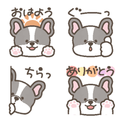 French Bulldog (Pied)