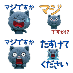 Polite Chartreux  11