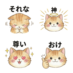 Reiwa Trend Fluffy Cat