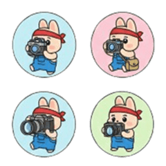 あかちゃんうさぎまるちょカメラマン