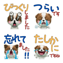 Moving Polite Papillon  12