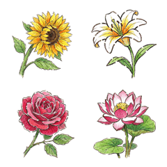 Graphite Flora (flower)