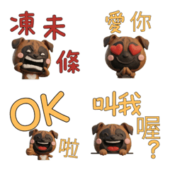 Taiwanese Boxer Dog  39