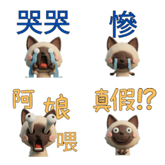 Taiwanese Siamese Cat  39