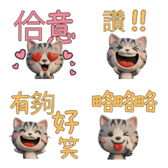 Moving Taiwanese Tabby  40