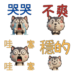 Moving Taiwanese Husky  40