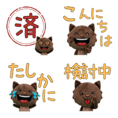 Plush Burmese Cat  9th