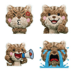 Moving Selkirk Rex  8th