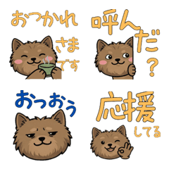 Moving Round Face Cairn Terrier 22