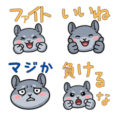 Moving Round Face Chinchilla 22