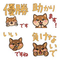 Moving Polite Chiwachs Mix 24