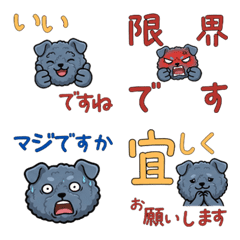 Moving Polite Kerry Blue Terrier 24