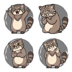 冷酷的兔猻 (黑色)