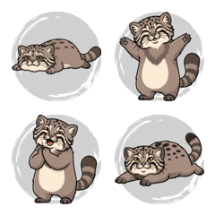 冷酷的兔猻 (灰色)