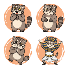 冷酷的兔猻 (橘色)