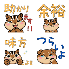 Round Face Chipmunk 21