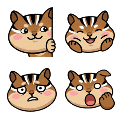 Round Face Chipmunk 19