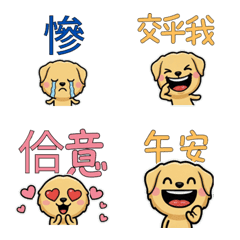 Taiwanese Yellow Lab  31st