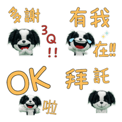 Animated Taiwanese Japanese Chin  34