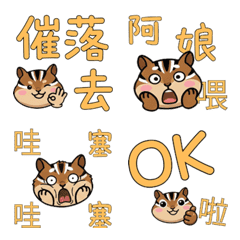 Moving Taiwanese Chipmunk 38