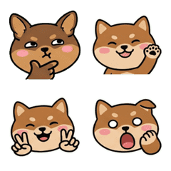 Moving Round Face Chiwachs Mix 20