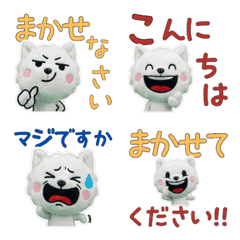 Animated Polite Kishu Ken  12