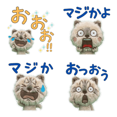 Animated Plush Ragamuffin  10