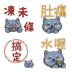 Moving Taiwanese Korat Cat 38