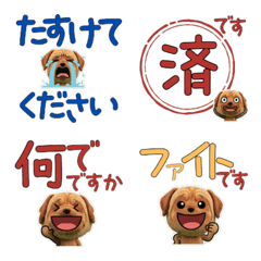 Animated Polite Tosa Dog  12