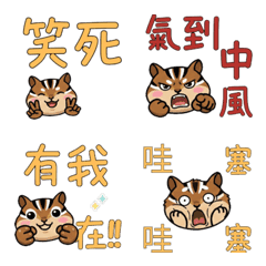 Taiwanese Chipmunk 37